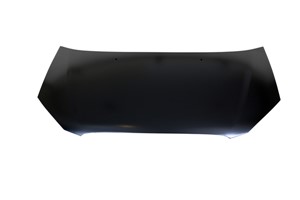 Motorpanser, HYUNDAI GETZ, 66400-1C510, 664001C512