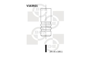 Utløpsventil, BMW, 11341503738, 11341707519, 11344457287, 11347503738, 11347503839, 11347592839