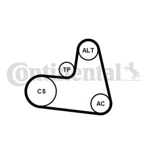Kileribberemsett, CITROËN,FIAT,FORD,LANCIA,PEUGEOT,VOLVO, 16 112 782 80, 1611278280, 2110256, ME4M5Q6D361CA