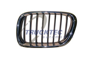 Radiatorgitter, Venstre, BMW X5 [E53], 51 13 8 402 645