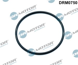 Tetning, innsugningsmanifold, , VW CRAFTER 30-35 Buss, CRAFTER 30-50 Flak/chassi, CRAFTER 30-50 Skåp, WHT002223