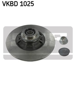 Bremseskive, Bakaksel, RENAULT CLIO II, MEGANE I, MEGANE Cabriolet I, MEGANE Classic I, MEGANE Coach I, 77 01 204 901, 77 01 208 054