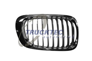 Radiatorgitter, Høyre, BMW 3 Coupé [E46], 51 13 8 208 684