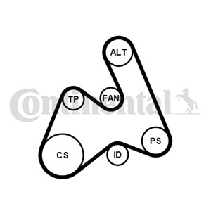 Kileribberemsett, AUDI A4 B5, A4 B5 Avant, A6 C5, A6 C5 Avant, VW PASSAT B5, PASSAT B5 Variant