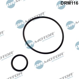 Tetningssett, innsugningsmanifold, CITROËN,FIAT,PEUGEOT, 4556.05, 4556.06